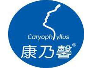 康乃馨產(chǎn)后恢復(fù)加盟投資解析 總投資14.8萬元起，加盟費用詳解與咨詢指南